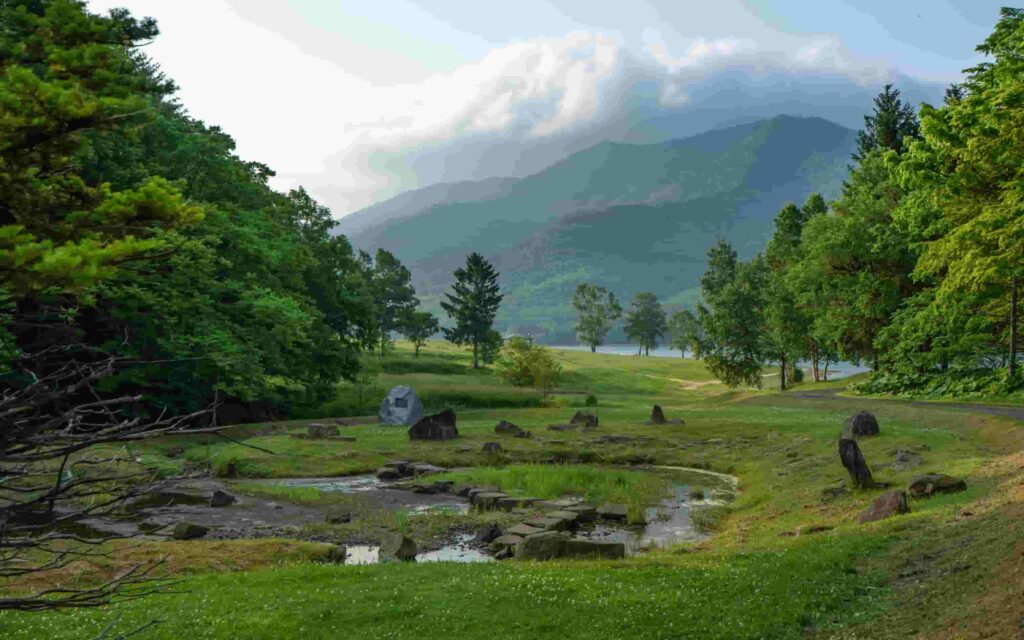 Bài viết 6